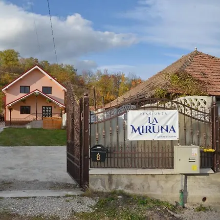 Πανσιόν La Miruna Comanesti (Bacau)