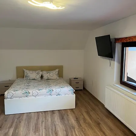 La Miruna Πανσιόν Comanesti (Bacau)